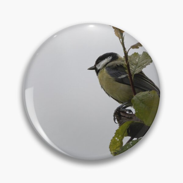 Item preview, Great Tit designed and sold by Calidris Fotografie Steffi & Ben Köppler.