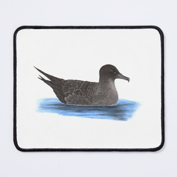 Item preview, Sooty Shearwater designed and sold by Chouetteplanete.