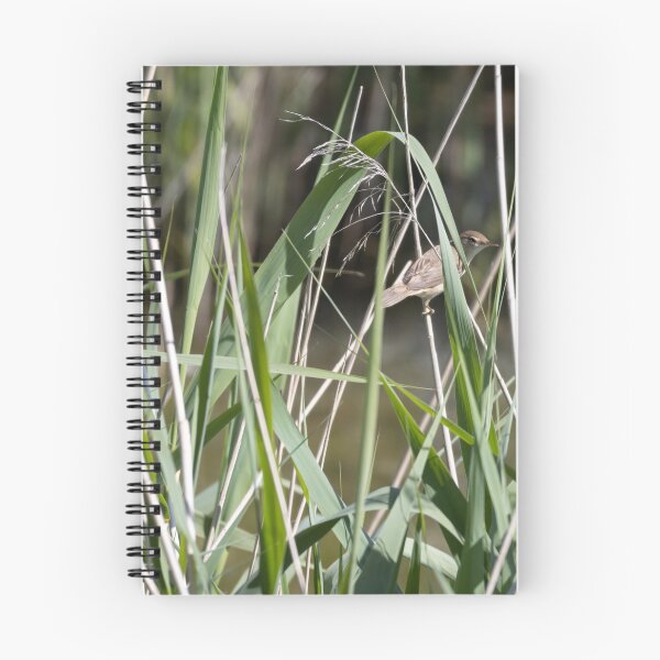Item preview, Common Reed Warbler designed and sold by Calidris Fotografie Steffi & Ben Köppler.
