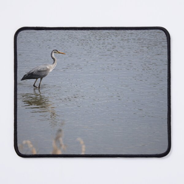 Item preview, Grey Heron designed and sold by Calidris Fotografie Steffi & Ben Köppler.