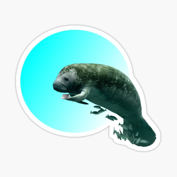 Manatee Bubble Sticker