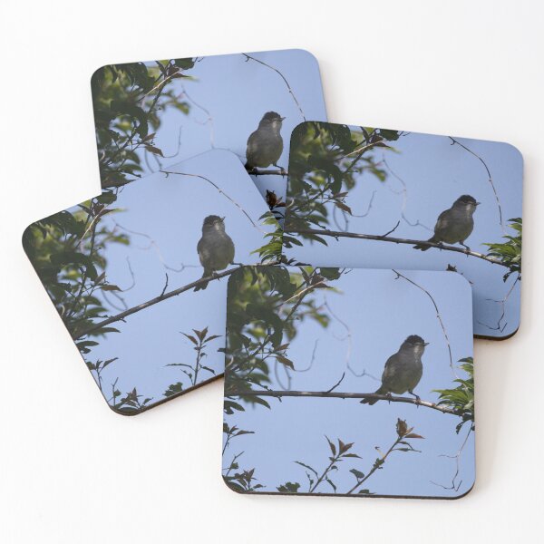 Item preview, Eurasian blackcap designed and sold by Calidris Fotografie Steffi & Ben Köppler.