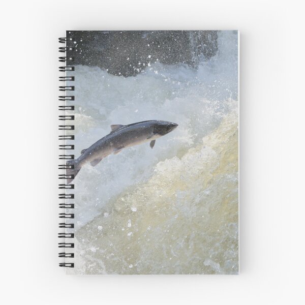 Item preview, Leaping Salmon River Conwy ,North Wales designed and sold by Derren Jones.