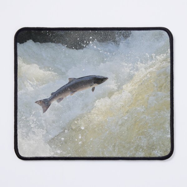 Item preview, Leaping Salmon River Conwy ,North Wales designed and sold by Derren Jones.