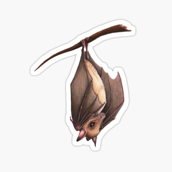 Item preview, bat designed and sold by Chouetteplanete.