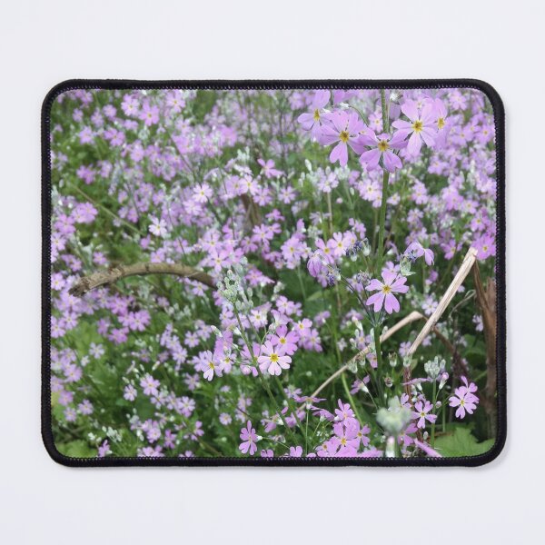 Item preview, Fairy Primrose Flowers (Primula malacoides), Darjeeling designed and sold by iamantara.