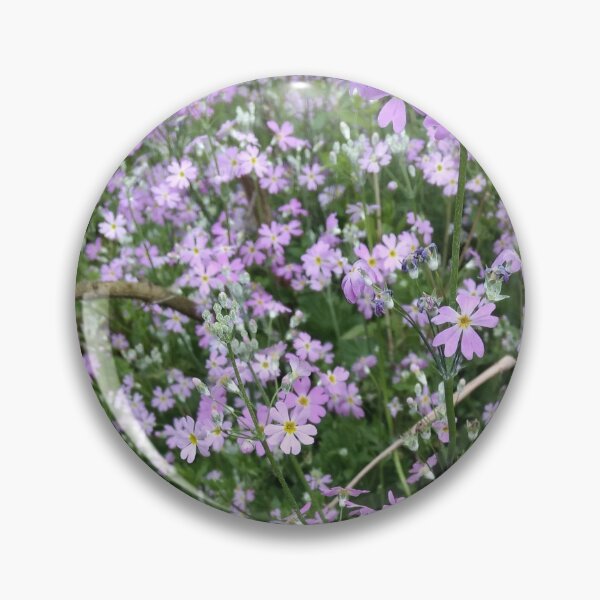 Item preview, Fairy Primrose Flowers (Primula malacoides), Darjeeling designed and sold by iamantara.