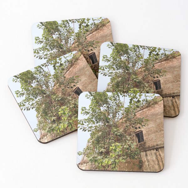 Item preview, The tree and the wall designed and sold by suvashbarman.
