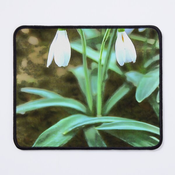 Item preview, Crimean Snowdrop Closeup Photo Style Botanical Art designed and sold by taiche.