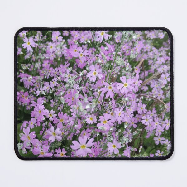 Artikelvorschau, Feenprimel-Blumenbeet, Darjeeling entworfen und verkauft von iamantara.