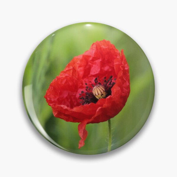 Item preview, Red Poppy - Green designed and sold by Chris Ayre.