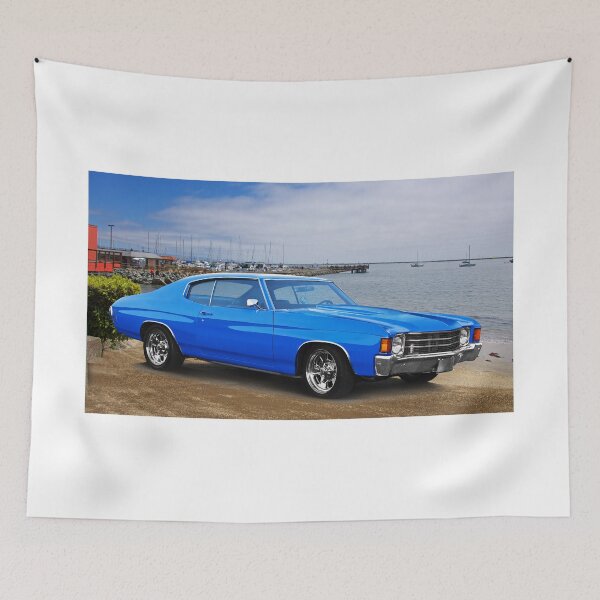 Item preview, 1972 Muscle Beach Malibu designed and sold by DaveKoontz.