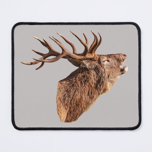 Item preview,  Red Deer Stag in rut designed and sold by Dalyndigital Photography.