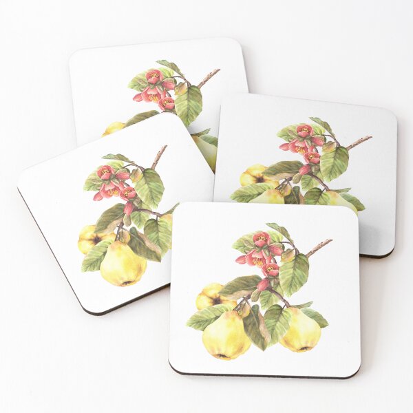 Item preview, Copy of Watercolor hand drawn branch of quince fruits with flower and leaves. Сlip art sticker designed and sold by BartolArt.