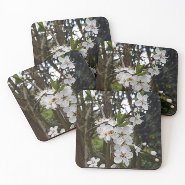 Item preview, Hawthorn from a hedgerow. designed and sold by JonDelorme.