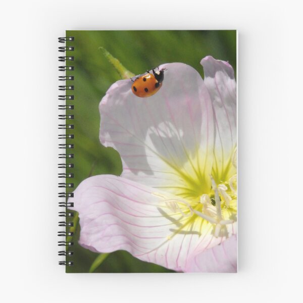 Item preview, Ladybug on Primrose designed and sold by Colleen Drew.