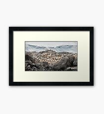 Nursery Framed Print