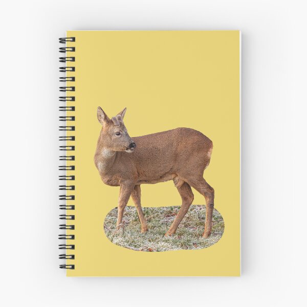 Item preview, Roebuck in the frost designed and sold by Dalyndigital Photography.