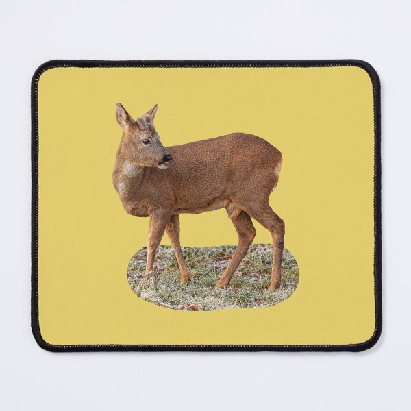 Item preview, Roebuck in the frost designed and sold by Dalyndigital Photography.