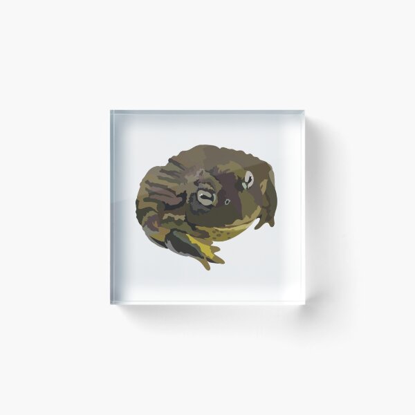 Item preview, A is for African Bull Frog,African Bull Frog – Powerful and Unique Amphibian Wildlife Illustration designed and sold by PrettylittlepastelUk.