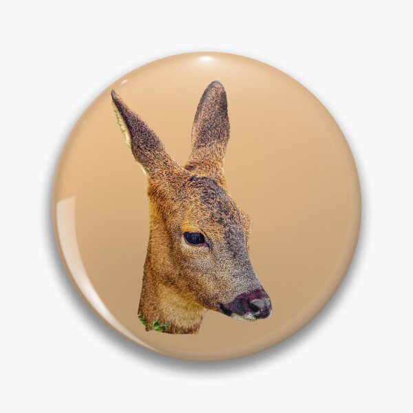 Item preview, Roe deer resting designed and sold by Dalyndigital Photography.