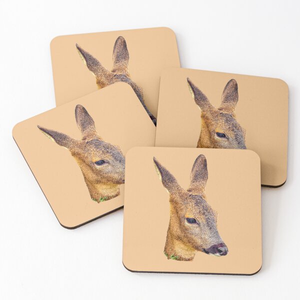 Item preview, Roe deer resting designed and sold by Dalyndigital Photography.
