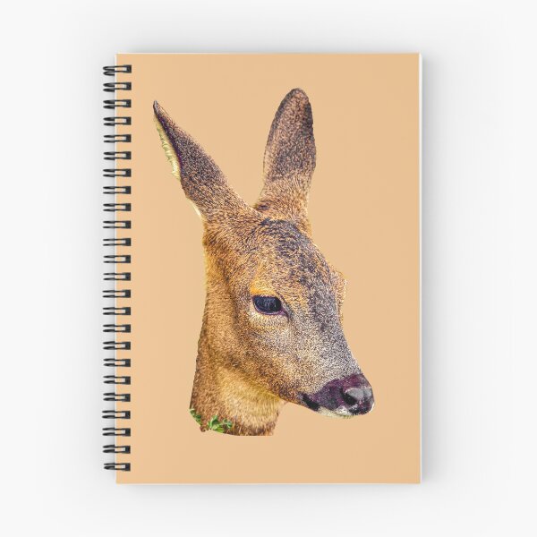 Item preview, Roe deer resting designed and sold by Dalyndigital Photography.