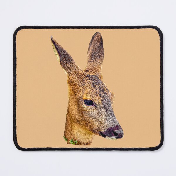 Item preview, Roe deer resting designed and sold by Dalyndigital Photography.