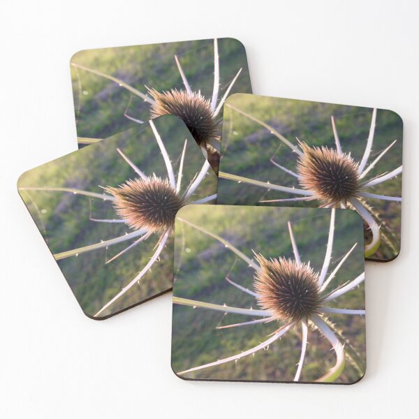 Item preview, Teasel Spider designed and sold by JonDelorme.