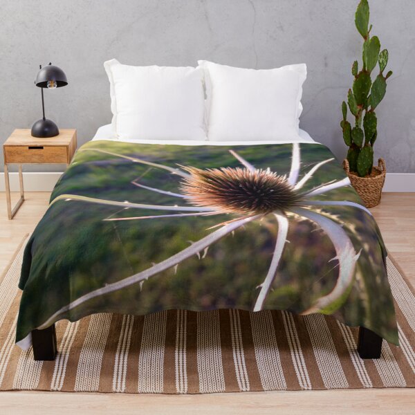 Item preview, Teasel Spider designed and sold by JonDelorme.
