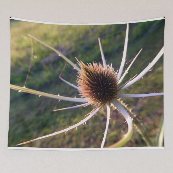 Item preview, Teasel Spider designed and sold by JonDelorme.