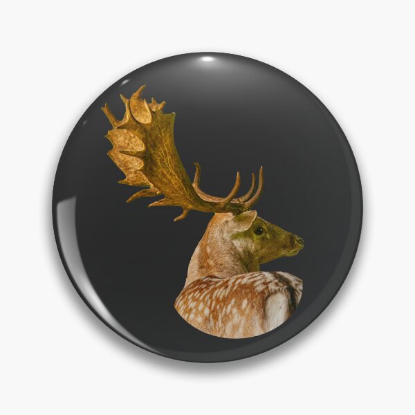 Item preview, Fallow Buck with a great rack designed and sold by Dalyndigital Photography.