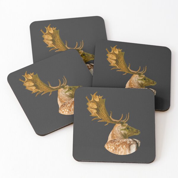 Item preview, Fallow Buck with a great rack designed and sold by Dalyndigital Photography.