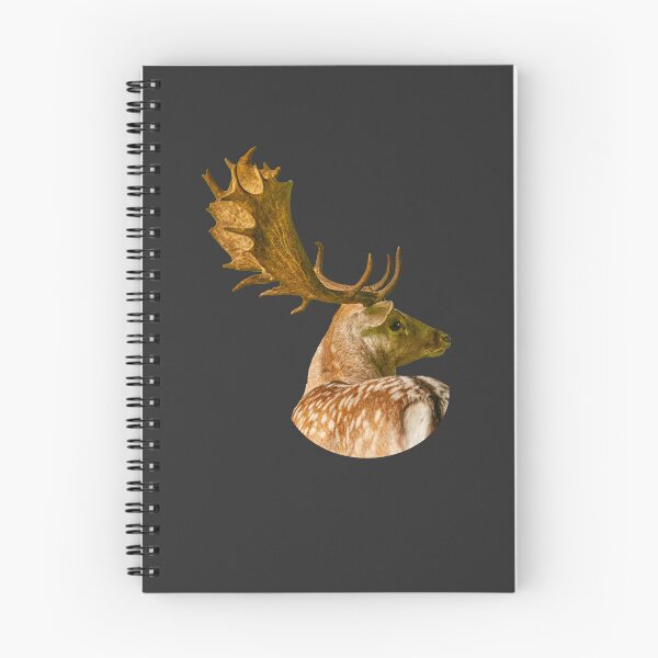 Item preview, Fallow Buck with a great rack designed and sold by Dalyndigital Photography.