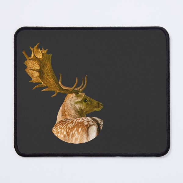 Item preview, Fallow Buck with a great rack designed and sold by Dalyndigital Photography.