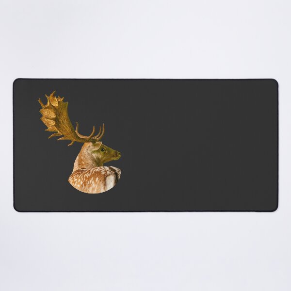 Item preview, Fallow Buck with a great rack designed and sold by Dalyndigital Photography.