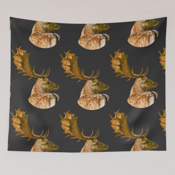 Item preview, Fallow Buck with a great rack designed and sold by Dalyndigital Photography.