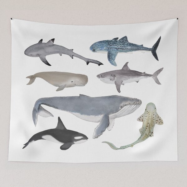 Item preview, Whales and Sharks designed and sold by theKindredPines.
