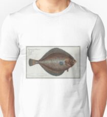 Vintage Illustration of a Flounder Fish (1785) Unisex T-Shirt