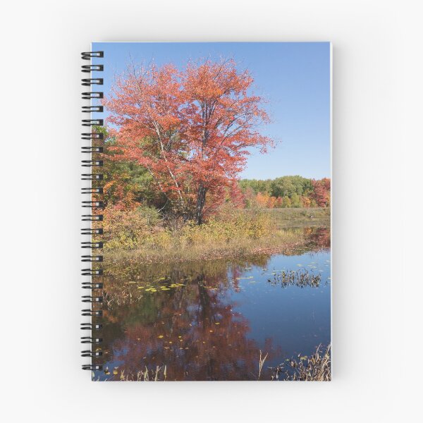 Item preview, Crisp Autumn Sunshine - Red Maple and Blue Pond designed and sold by Georgia Mizuleva.