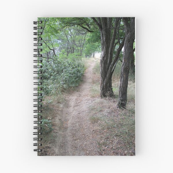 Item preview, Shavers Bench Trail 2: woodland path.  designed and sold by Dustwood-Media.