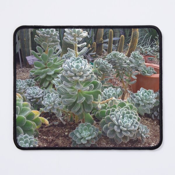 Item preview, Garden walk designed and sold by JulieJubb.