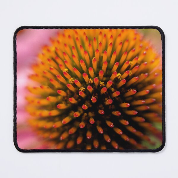 Item preview, Lowe Park designed and sold by Designed by Southern Minnesota Guy.
