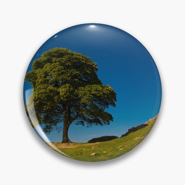 Item preview, The Sycamore Gap Tree, Hadrian's Wall designed and sold by Brian Shaw.