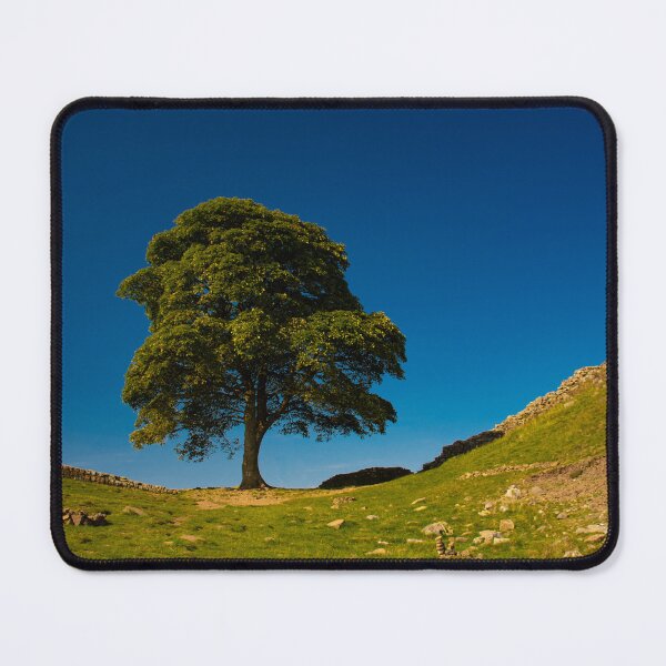 Item preview, The Sycamore Gap Tree, Hadrian's Wall designed and sold by Brian Shaw.