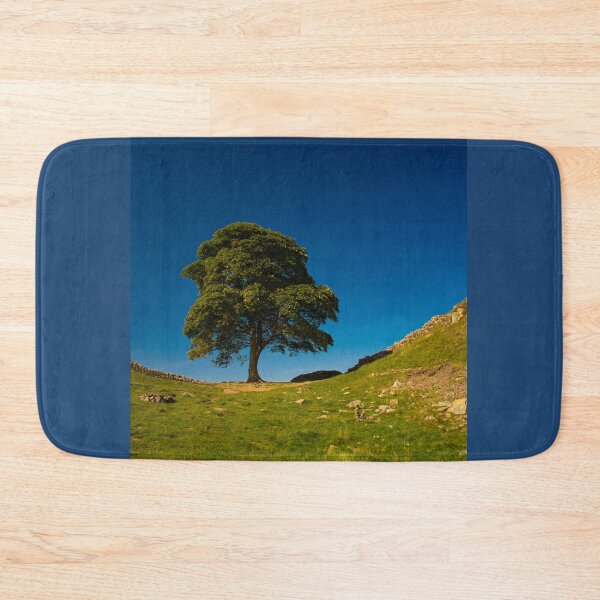 Item preview, The Sycamore Gap Tree, Hadrian's Wall designed and sold by Brian Shaw.
