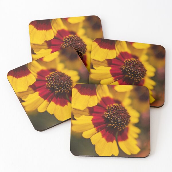 Item preview, Lowe Park designed and sold by Designed by Southern Minnesota Guy.