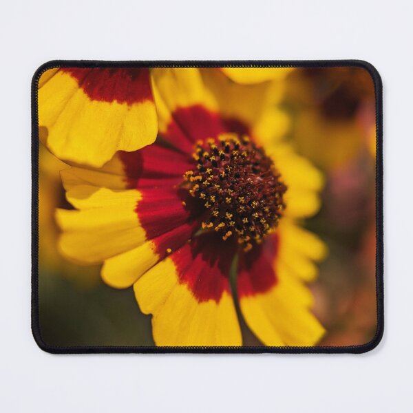 Item preview, Lowe Park designed and sold by Designed by Southern Minnesota Guy.