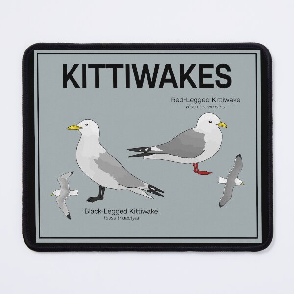 Item preview, Kittiwakes of the World designed and sold by taylorrowan.
