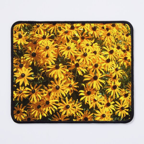 Item preview, Susan Profusion 4: yellow black-eyed Susan flowers designed and sold by Dustwood-Media.